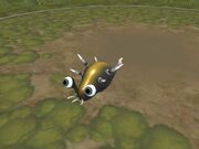 Garrapeto