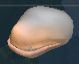 Ficheiro:PresaMortal.png