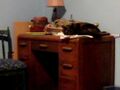 Thumbnail for version as of 02:33, October 20, 2010