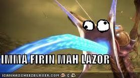 Lolwhut