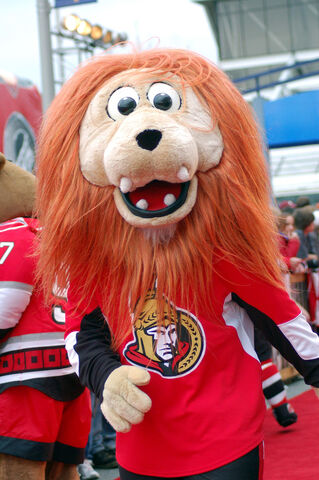 File:Spartacat.jpg