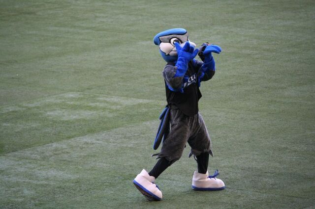 File:Ace Blue Jays.jpg