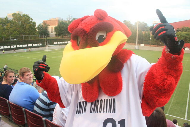 File:Cocky.jpg