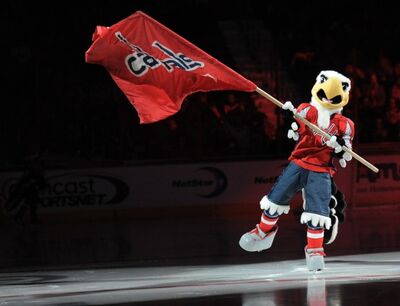 Slapshot