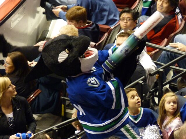 File:FinTheWhale.jpg