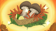 Autumn Matsutake