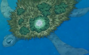 Island Turtle