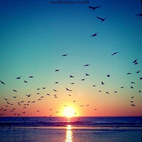 File:Tumblr mb8wmoiCVt1ri6e4do1 500.jpg