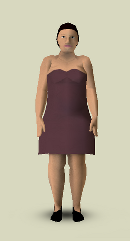 File:Girta-schuhleder.png