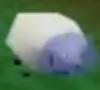 File:Aquasheep.jpg