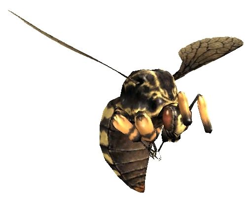 File:Bee.jpg