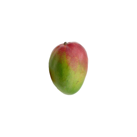 File:Mangue small.png
