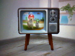 Televisor retro en Nintendogs + Cats