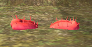 Bucculus en tierra (ESE) SSBB.png