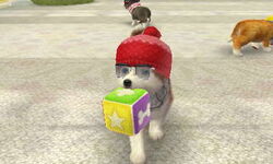Cojín de paño en Nintendogs + Cats