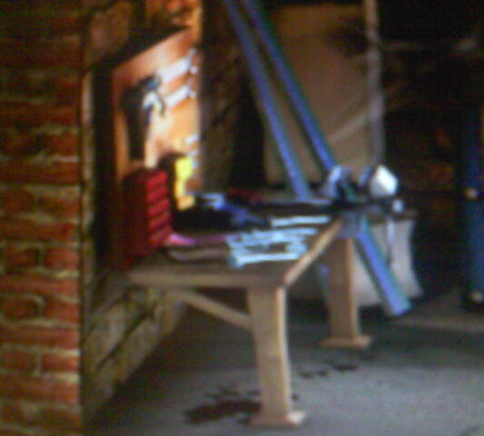 Plik:DSC0000215.jpg