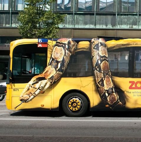 File:Copenhagen-Zoo-Snake-on-Bus-FINAL.jpg
