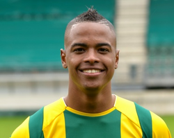 Ricardo Schepers.png