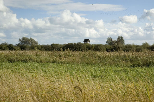 Bestand:Darwin Nationaal Park.jpg