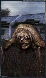 222305-cr flesh super