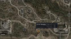 Zaton circus anomaly