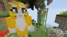 Images (14)