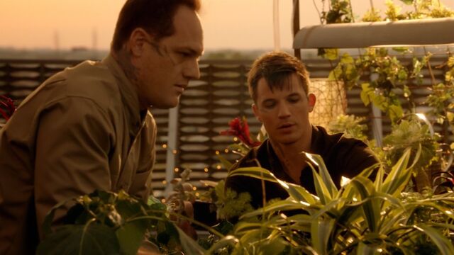 File:Starcrossedtv 101pilot screencaps 2574.jpg