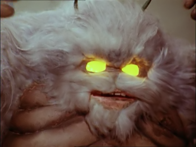 File:Kirara.png