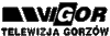VIGOR GORZÓW.gif
