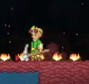 Tyicampfire