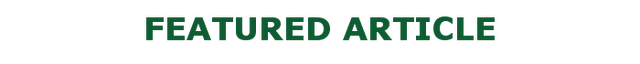 File:Featarticle.png