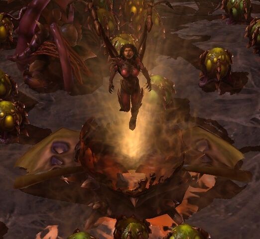 File:ChrysalisKerrigan SC2 Game2.jpg