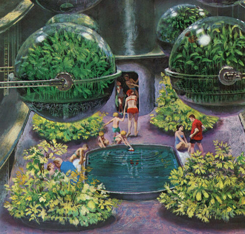 File:Hydroponics.jpg