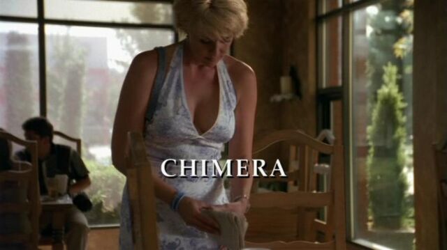 Fichier:SG1-07x15-episodetitle.jpg