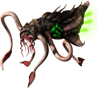 XenOctopon