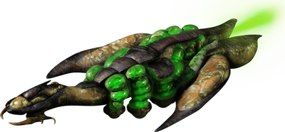 XenBomber