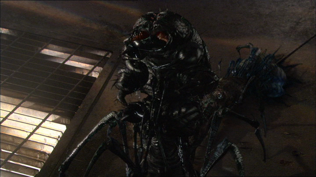 File:Vlcsnap-71659.png