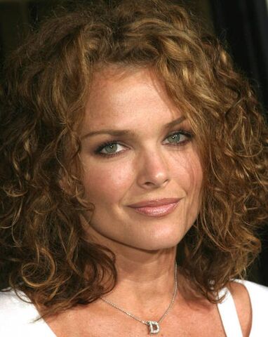 Archivo:Dina Meyer.jpg