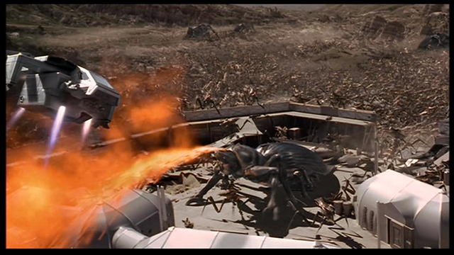 File:Vlcsnap-300992.png