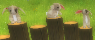 PXStudioRuntimeMMO-2013-02- (2).png