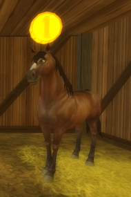 Morab brun.png