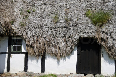2188920-157232-detail-of-a-medieval-farm-house-with-sea-grass-thatched-roof