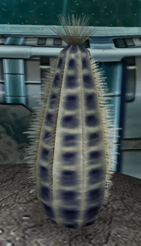 File:Pinecale.png