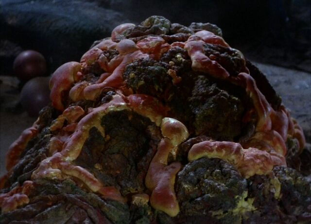 File:Horta.jpg