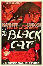The black cat