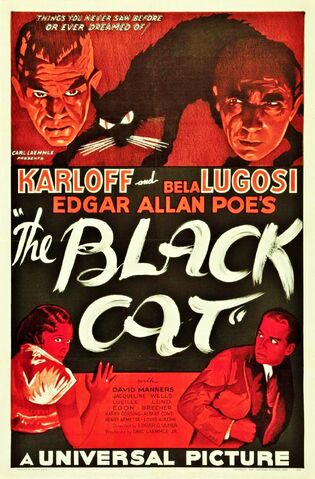 File:The black cat.jpg
