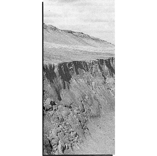 File:Wall surface.jpg