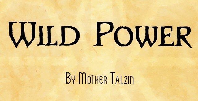 File:Wild Power flyleaf.png
