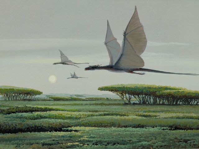 File:RMQ-DagobahDragon.jpg