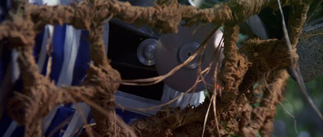File:Buzz saw.jpg